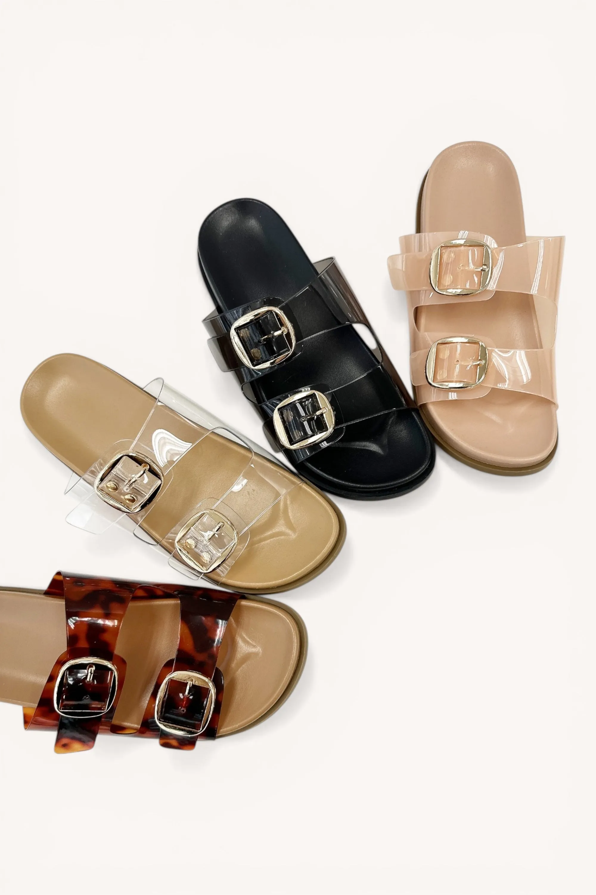 DANIELA-6 sold by CCOCCI