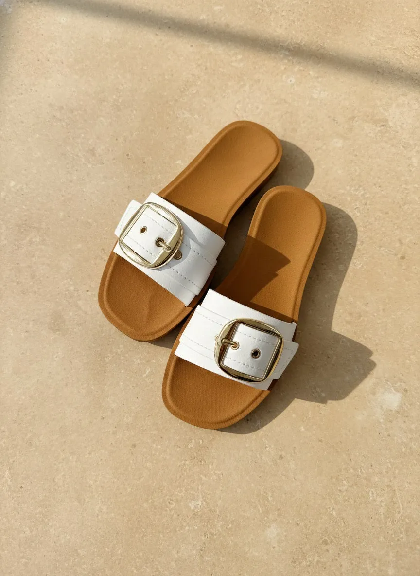 NIKKI-7_2 sold by CCOCCI