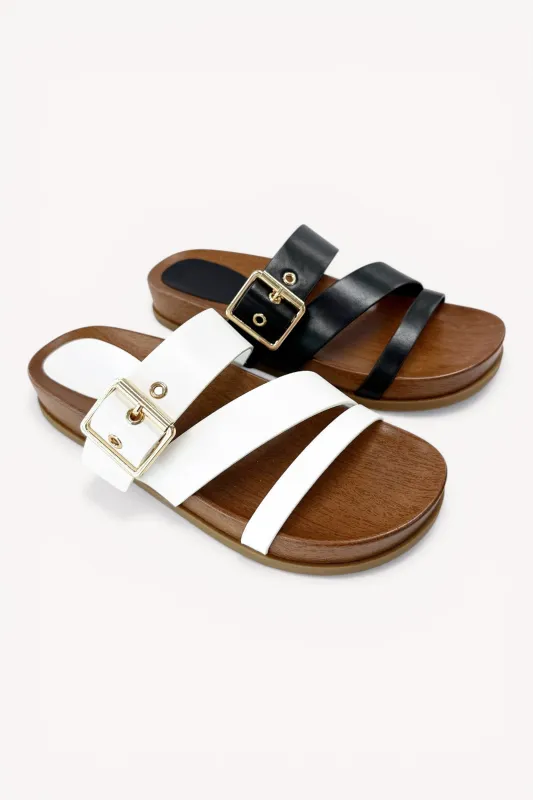 SANDI-98 made by CCOCCI