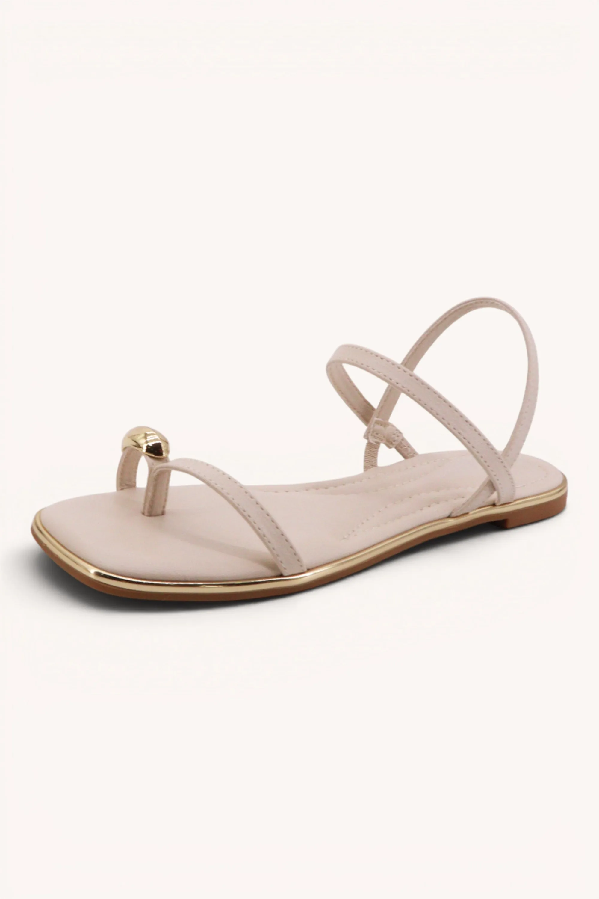POINTER-32 sold by CCOCCI product image thumbnail 3