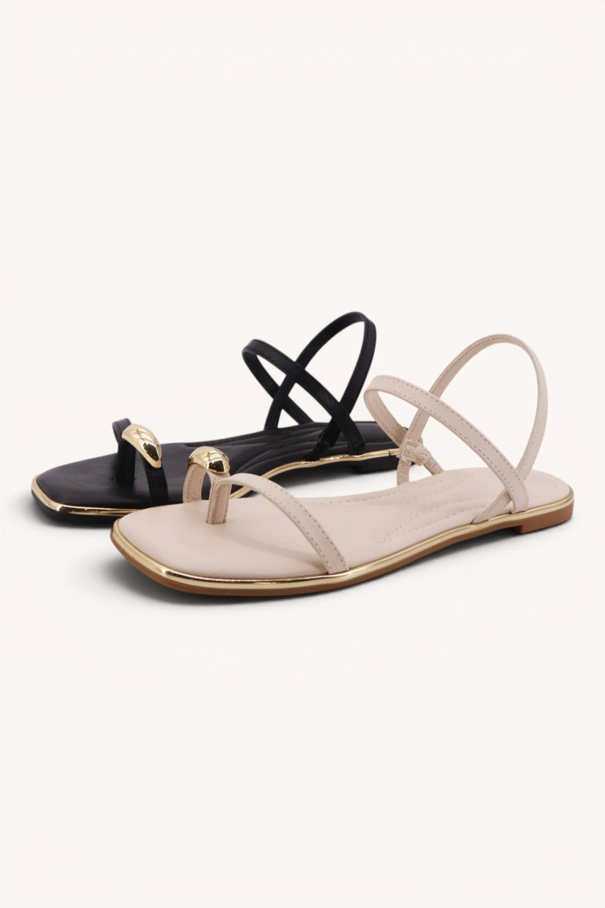 POINTER-32 sold by CCOCCI product image thumbnail 2