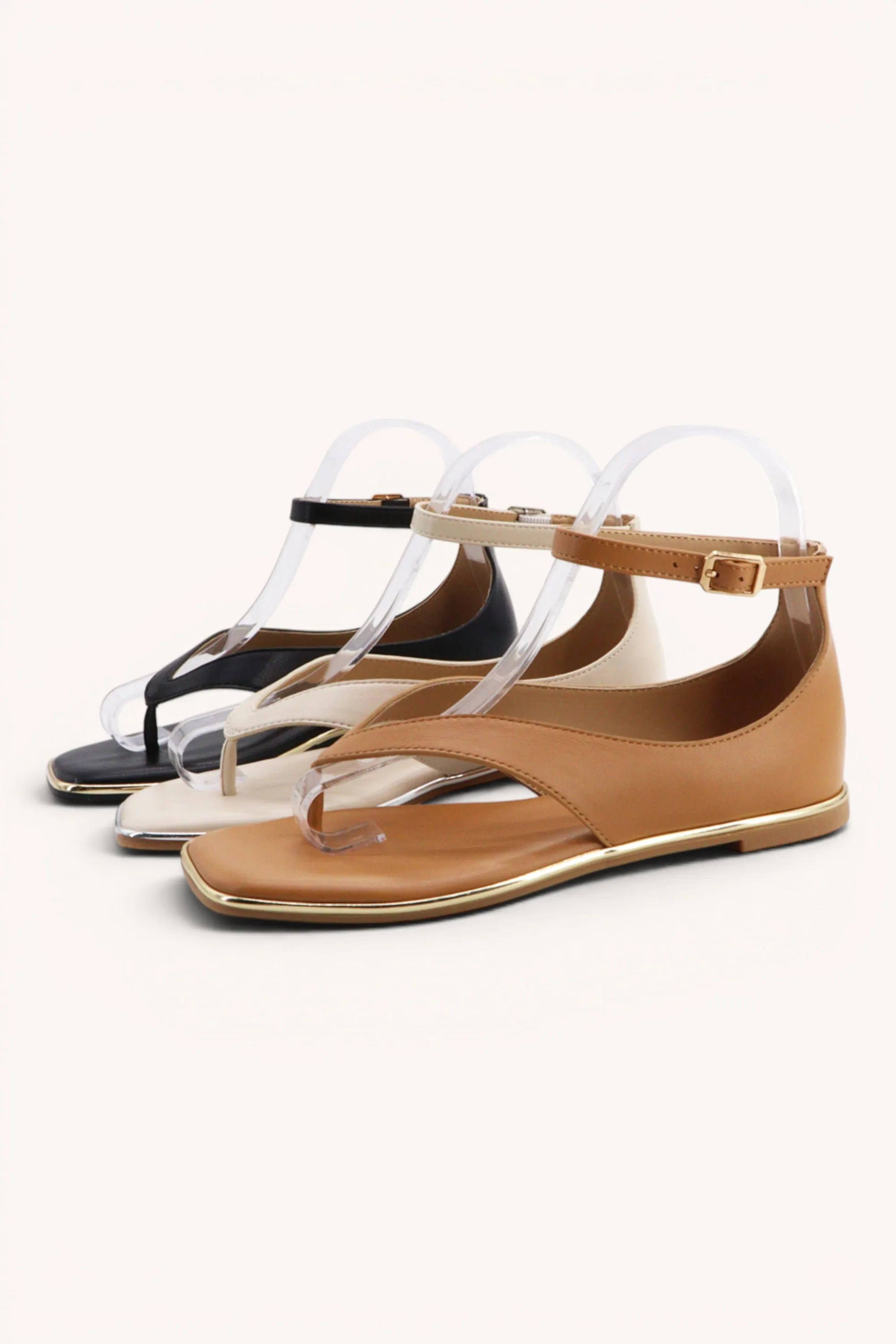 POINTER-44 sold by CCOCCI product image thumbnail 2
