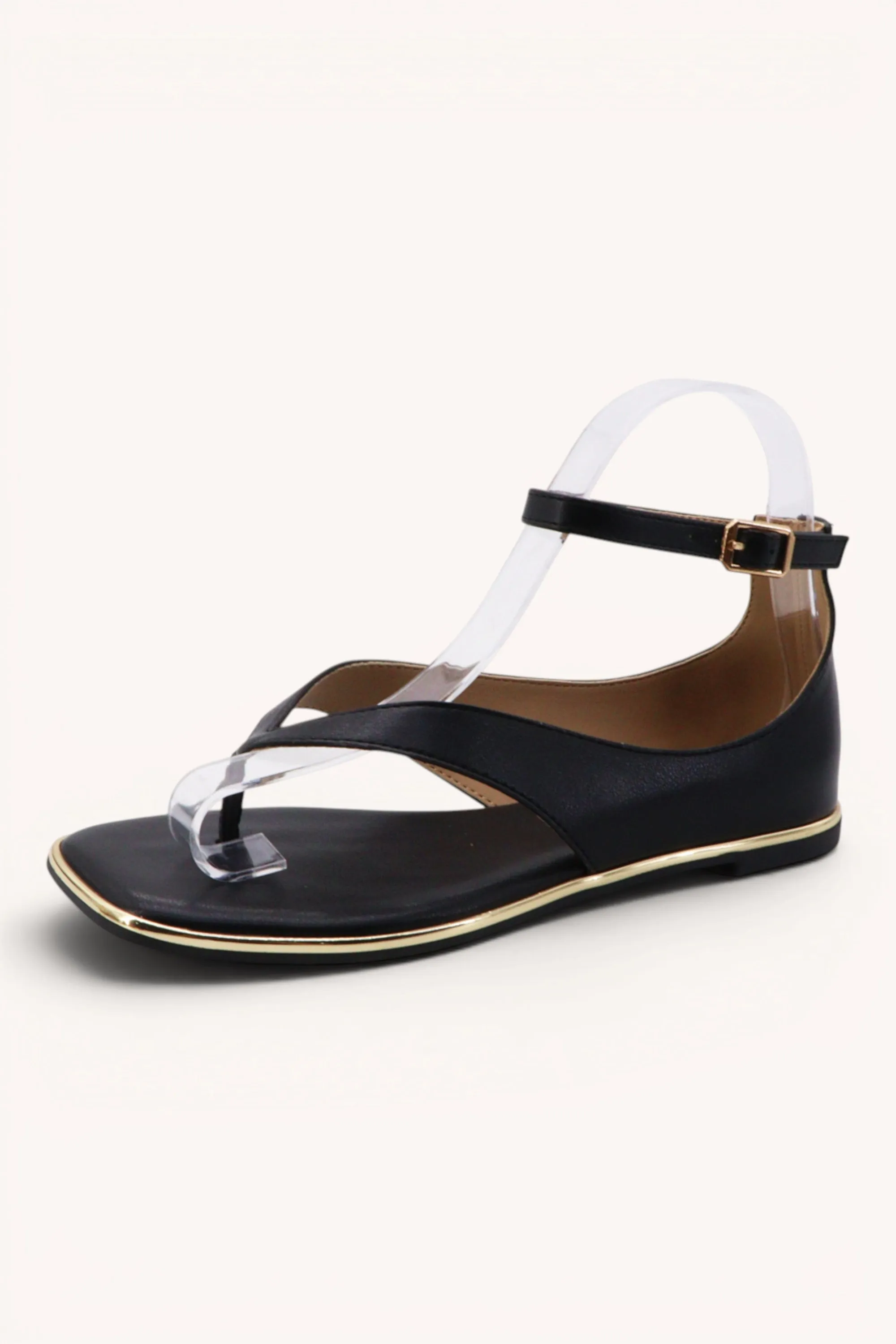 POINTER-44 sold by CCOCCI product image thumbnail 3