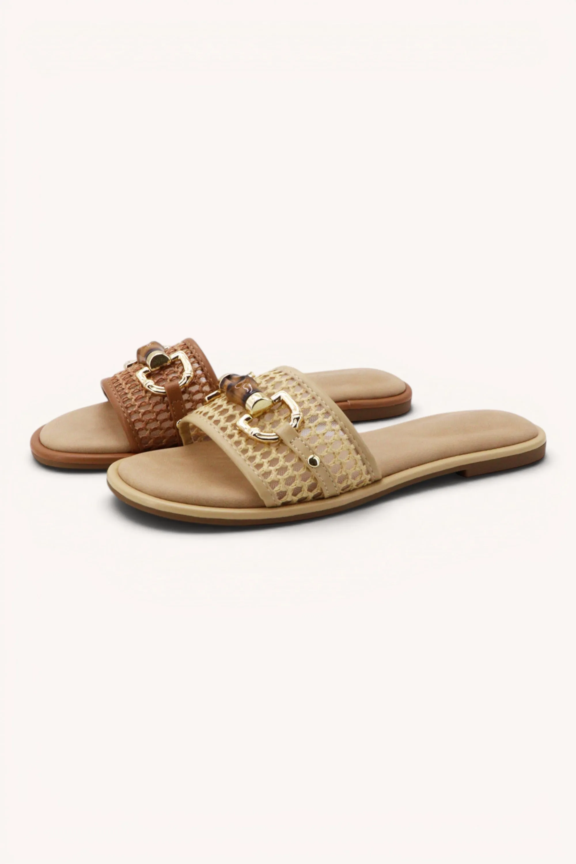 NOTION-15 sold by CCOCCI product image thumbnail 2