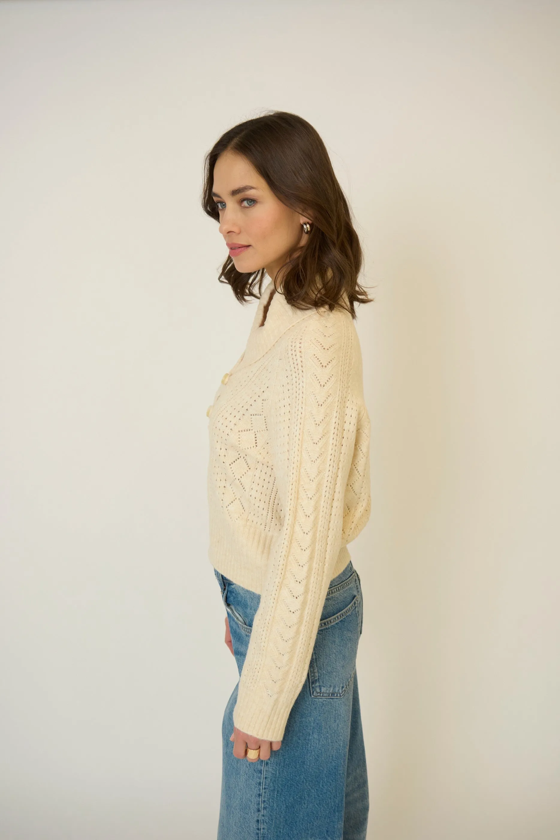Rayna Shawl Collar Pointelle Cable Pullover sold by Central Park West product image thumbnail 2