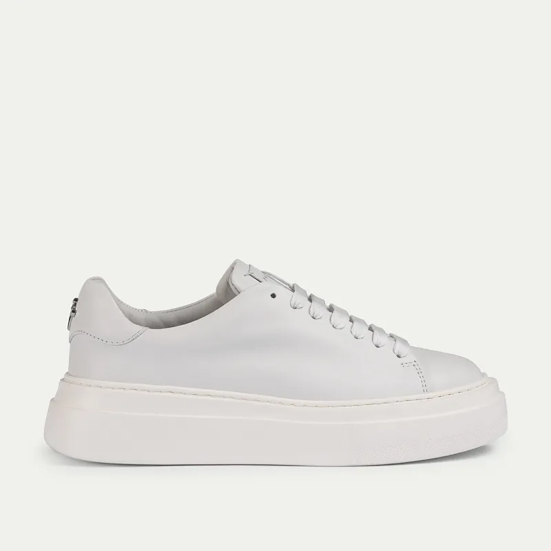 STARK sold by Cesare Paciotti