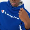 Powerblend Hoodie, Full Script Logo sold by Champion