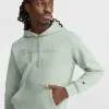 Powerblend Hoodie, Tonal Script Logo sold by Champion