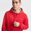 Powerblend Hoodie, Tonal Script Logo sold by Champion