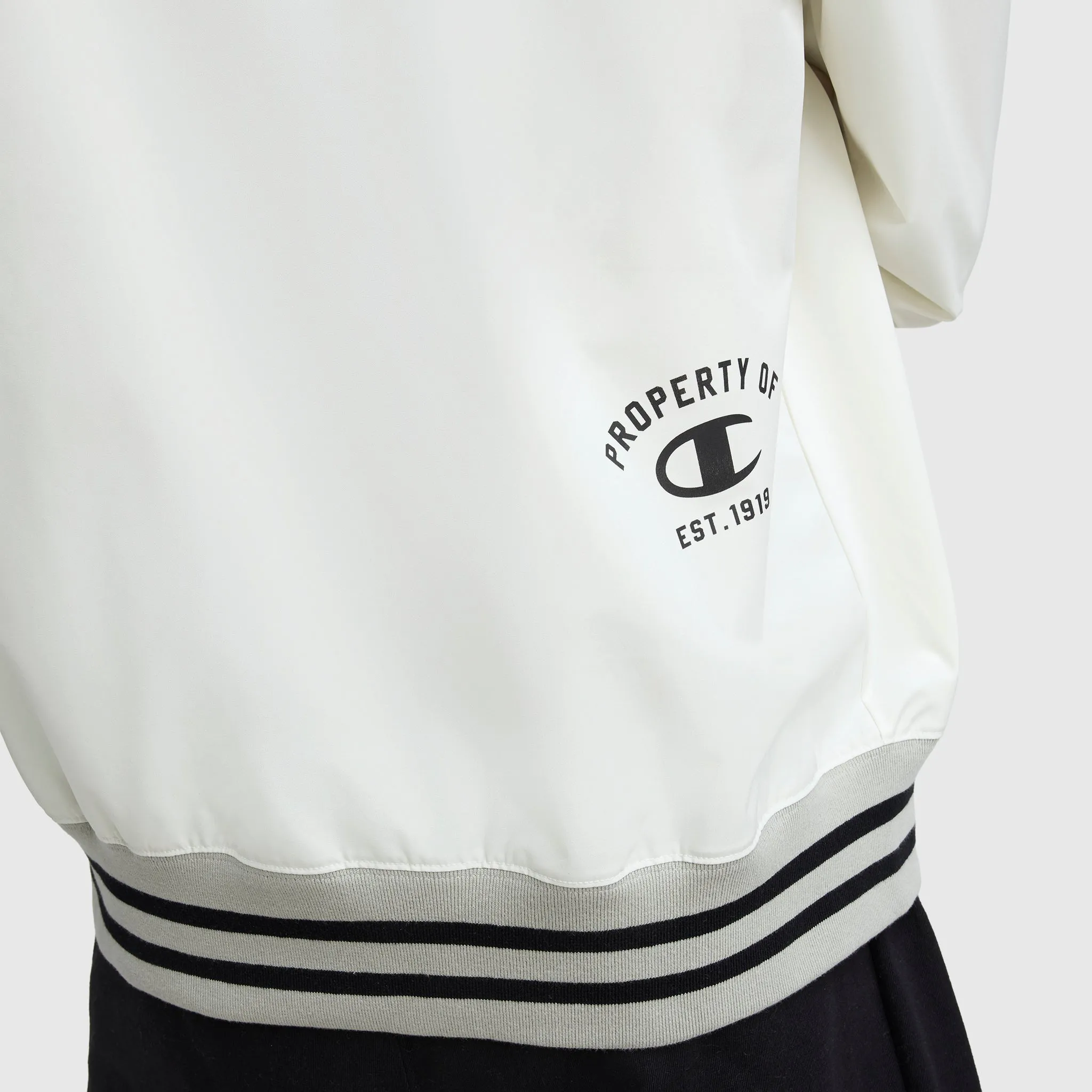 Gridiron V-Neck Pullover, C Logo sold by Champion product image thumbnail 4