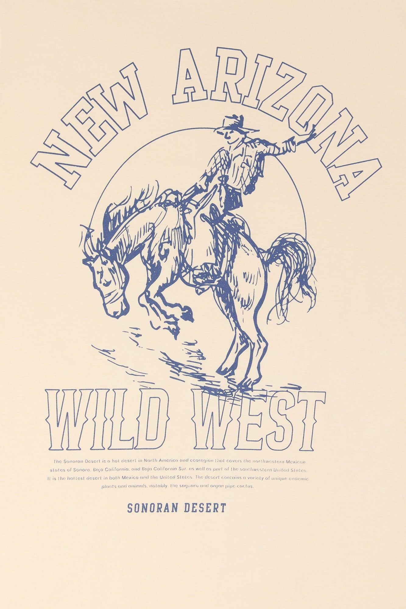 New Arizona Graphic T-Shirt sold by Charlotte Russe