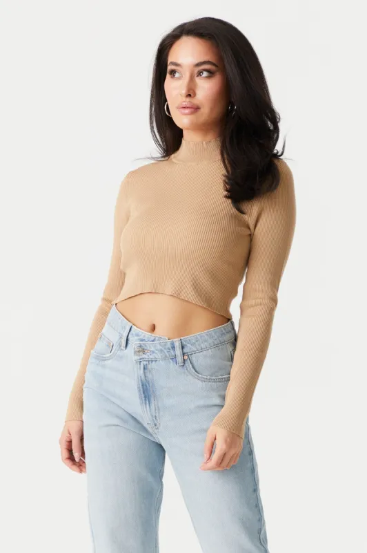 Ribbed Mock Neck Long Sleeve Crop Top sold by Charlotte Russe