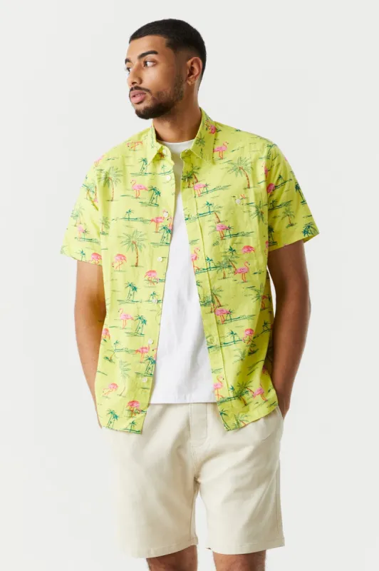 Flamingo Palm Tree Print Button-Up T-Shirt sold by Charlotte Russe