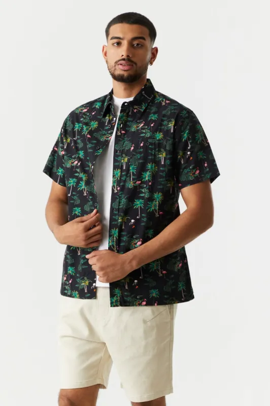 Palm Tree Print Button-Up T-Shirt sold by Charlotte Russe