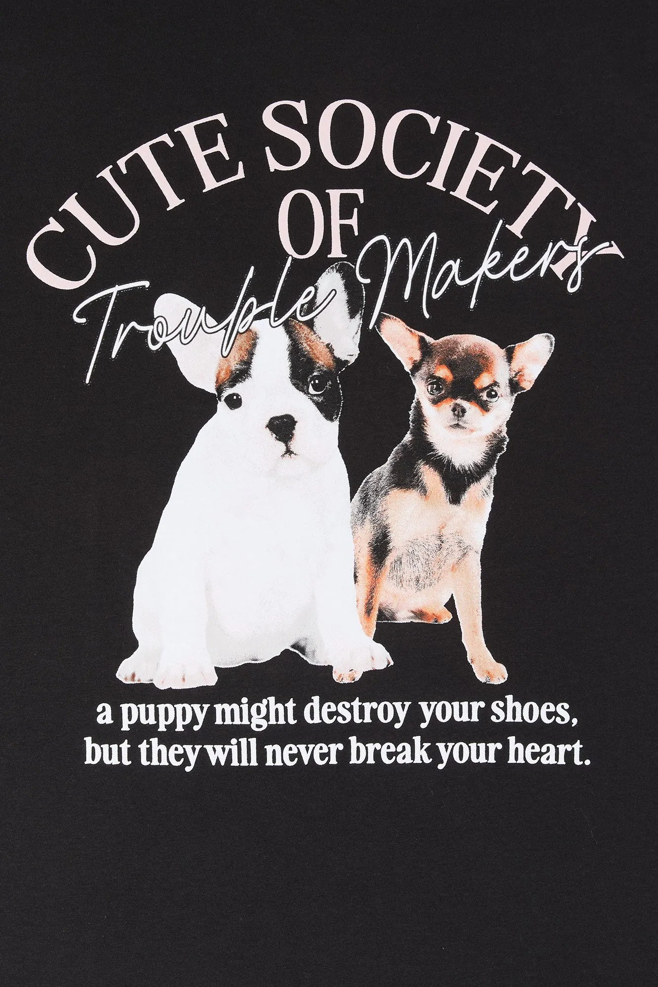 Puppy Trouble Makers Graphic Boyfriend T-Shirt sold by Charlotte Russe product image thumbnail 2