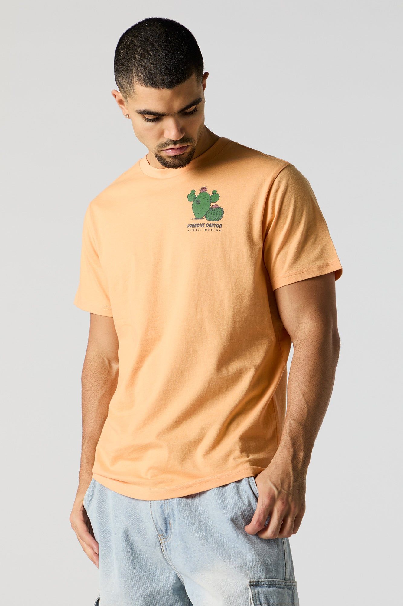 Paradise Canyon Graphic T-Shirt sold by Charlotte Russe product image thumbnail 2