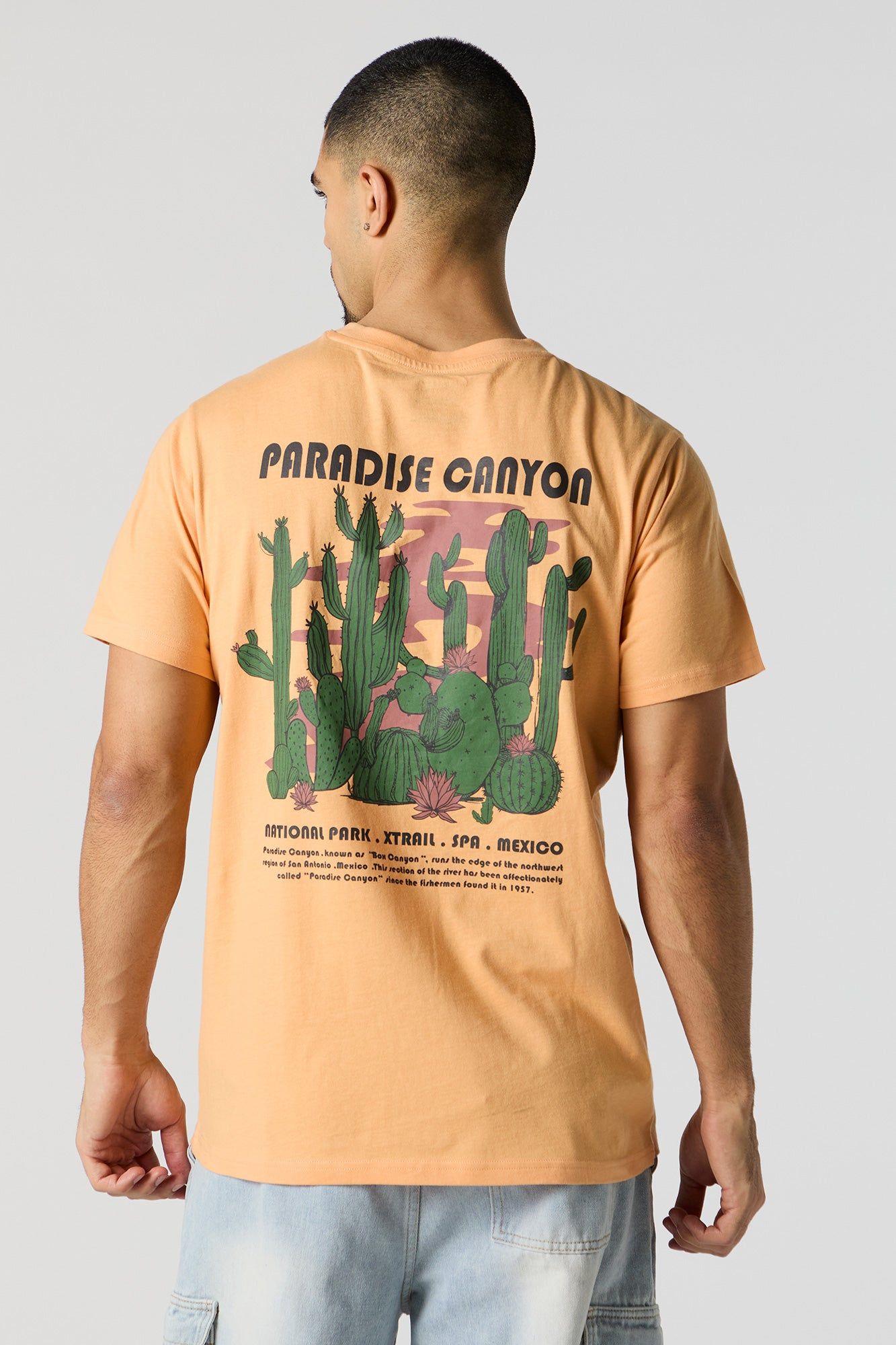 Paradise Canyon Graphic T-Shirt sold by Charlotte Russe product image thumbnail 4