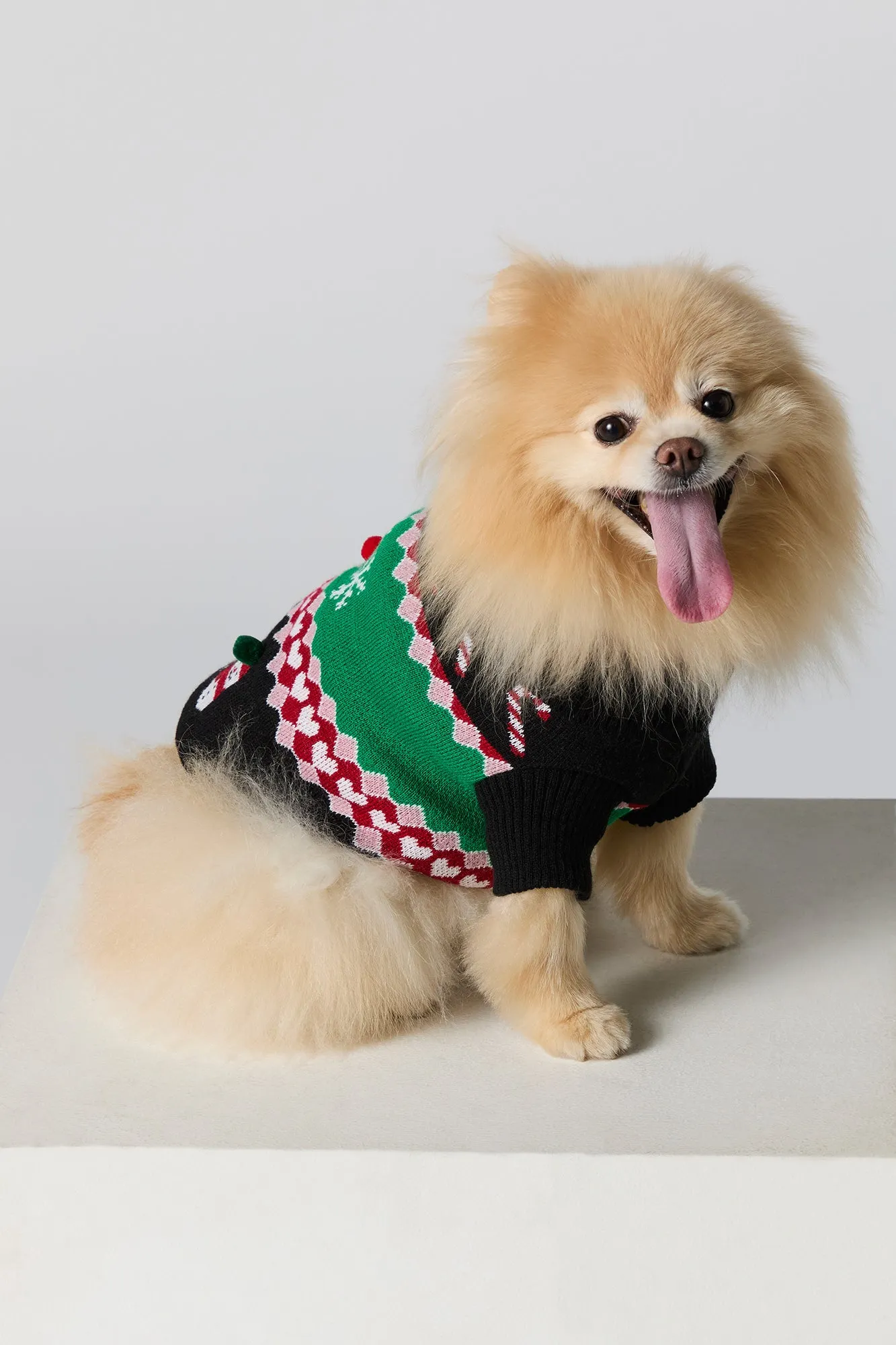 Jacquard Knit Pet Christmas Sweater sold by Charlotte Russe