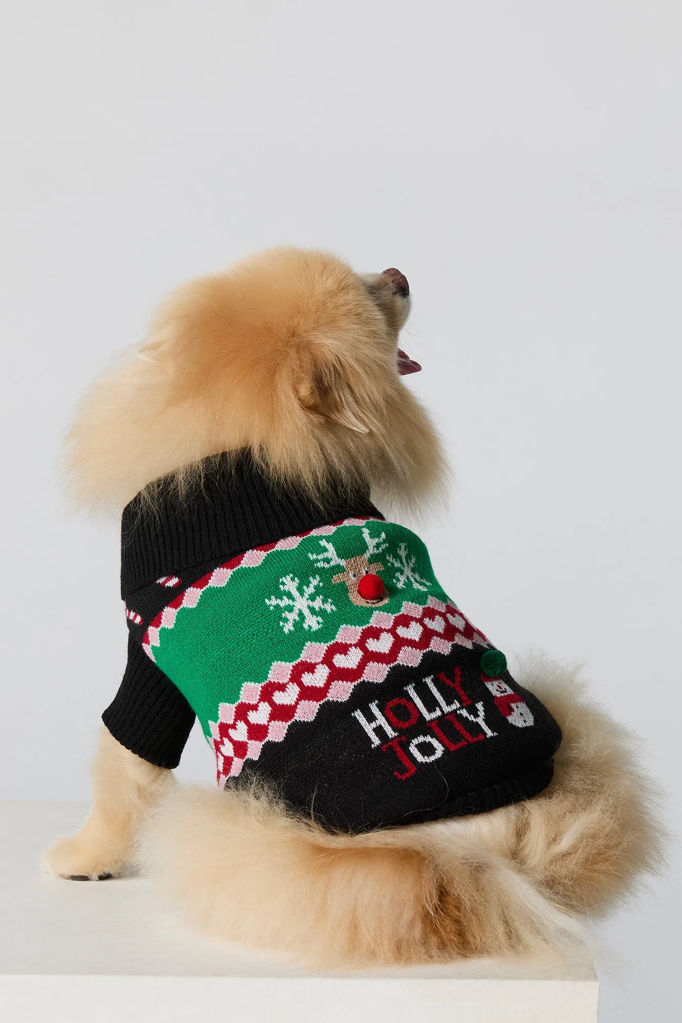 Jacquard Knit Pet Christmas Sweater sold by Charlotte Russe product image thumbnail 2