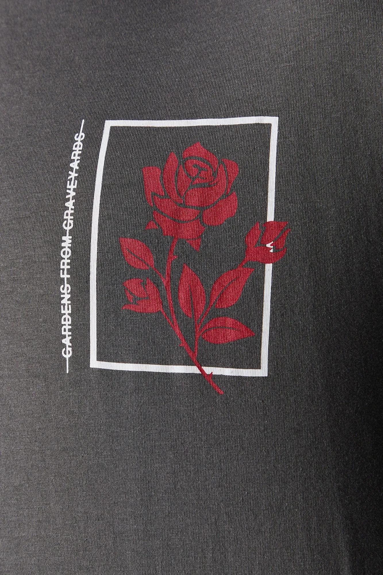 Gardens from Graveyards Graphic Long Sleeve Top sold by Charlotte Russe product image thumbnail 4