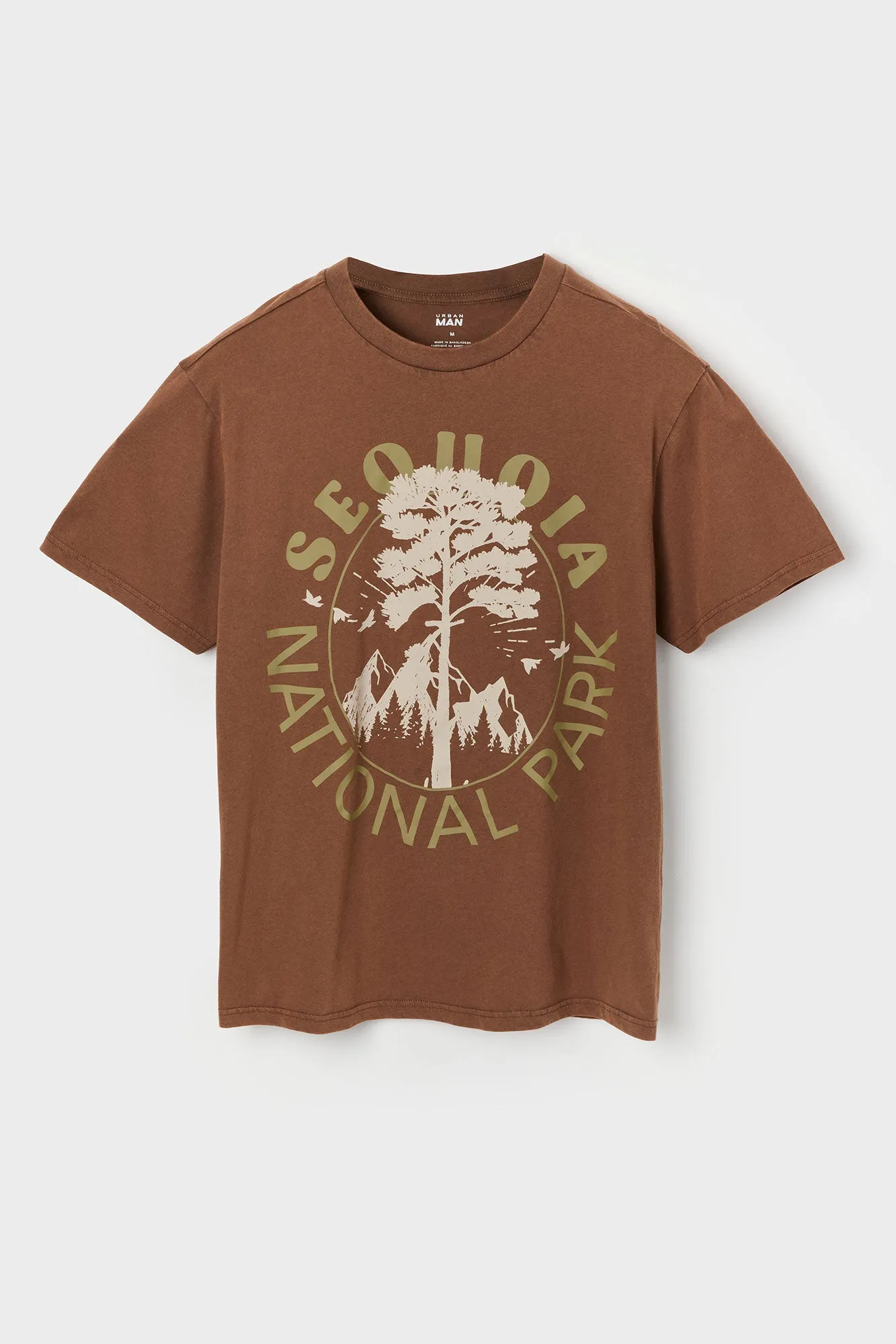 National Park Graphic T-Shirt sold by Charlotte Russe product image thumbnail 4