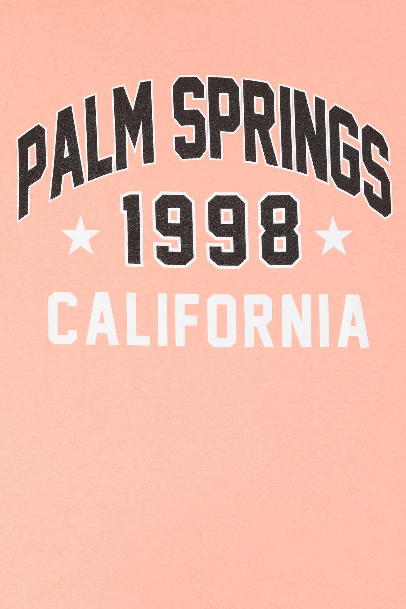 Palm Springs Graphic Boyfriend T-Shirt sold by Charlotte Russe product image thumbnail 2