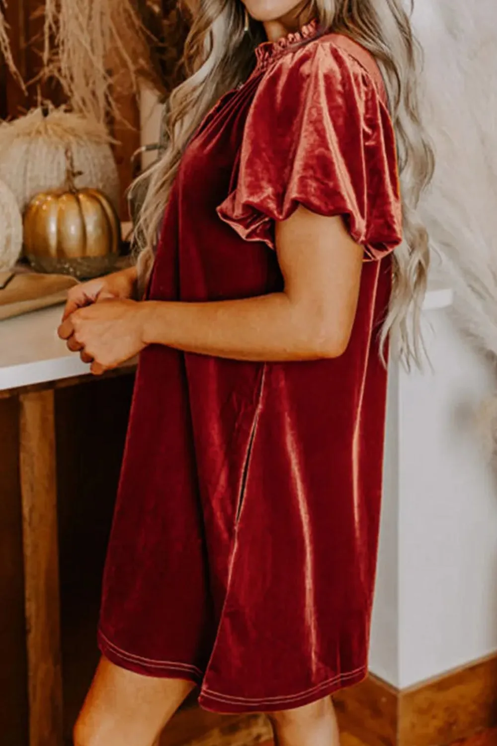 Velvet Tie Neck Short Sleeve Mini Dress sold by Charming Charlie product image thumbnail 2