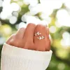 925 Sterling Silver Zircon Leaf Shape Ring sold by Charming Charlie