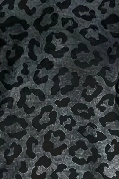 Leopard V-Neck Long Sleeve T-Shirt sold by Charming Charlie product image thumbnail 3