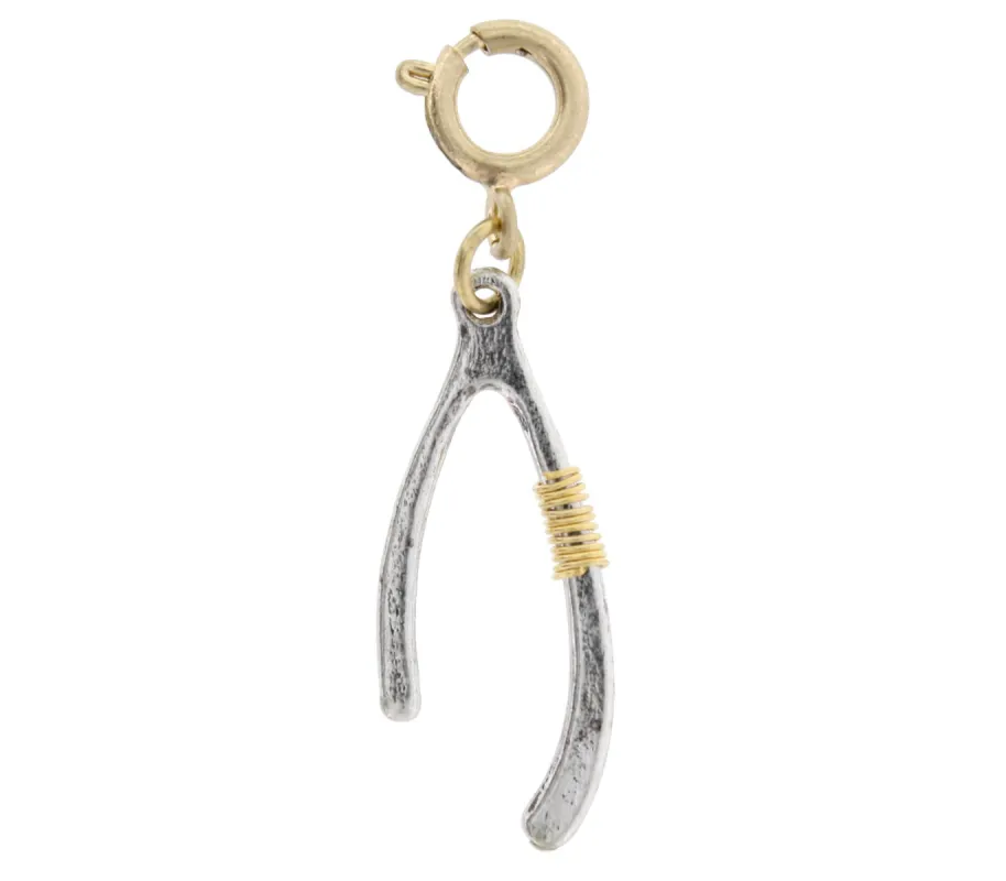 Silver Wishbone with Gold Wire Wrapped Charm sold by Charming Charlie