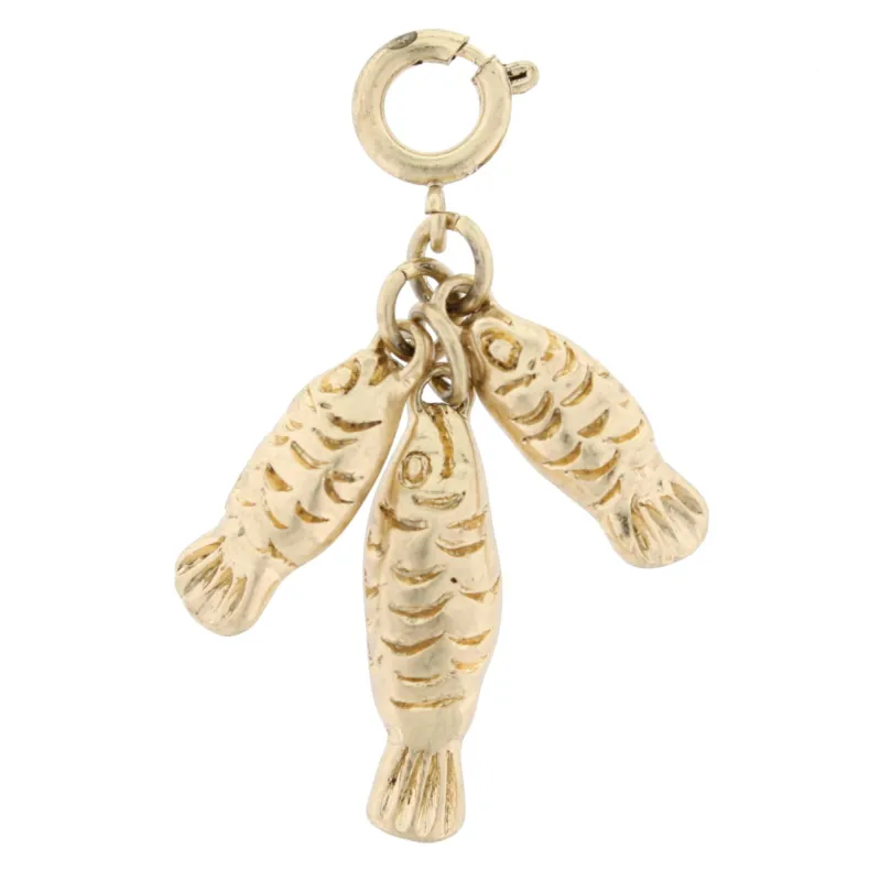 Teach a Man To Fish Gold Cluster Charm sold by Charming Charlie