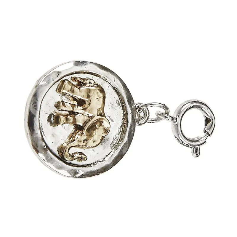 Antique Silver Hammered Disk with Antique Gold Elephant Charm sold by Charming Charlie