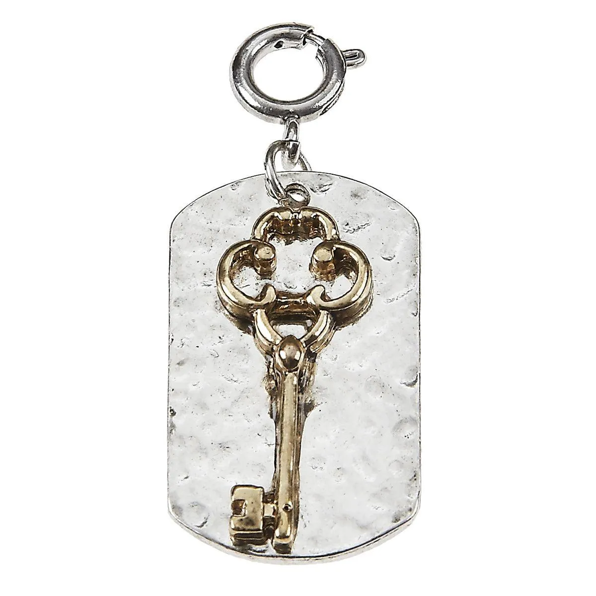 Antique Gold Key On Silver Dog Tag Charm sold by Charming Charlie