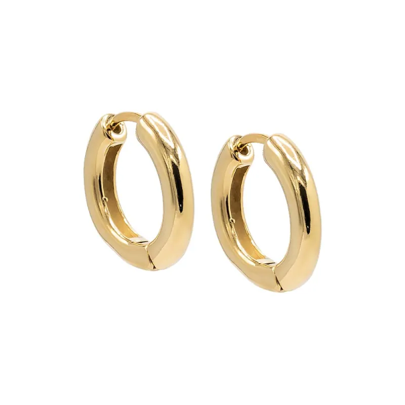 Classic Tube Hoop Earring sold by Charming Charlie
