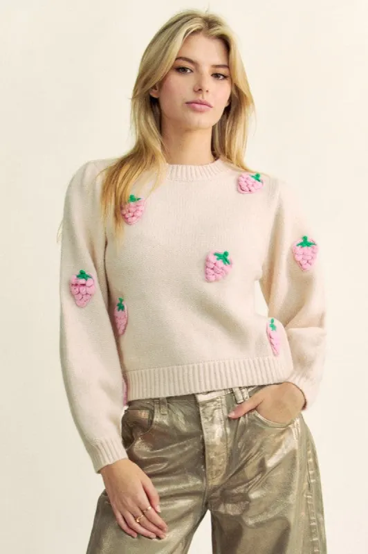 Davi & Dani Crochet Strawberry Round Neck Sweater made by Charming Charlie