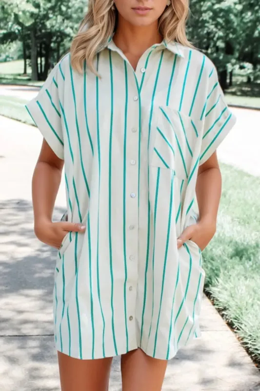 St Patricks Striped Wide Short Sleeve Shift Mini Shirt Dress sold by Charming Charlie