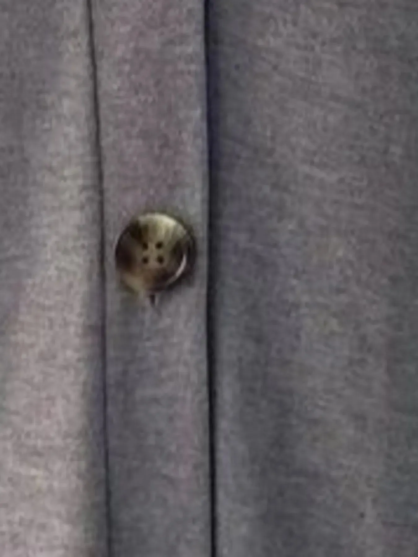 V-Neck Button Front Casual Top sold by Charming Charlie product image thumbnail 4