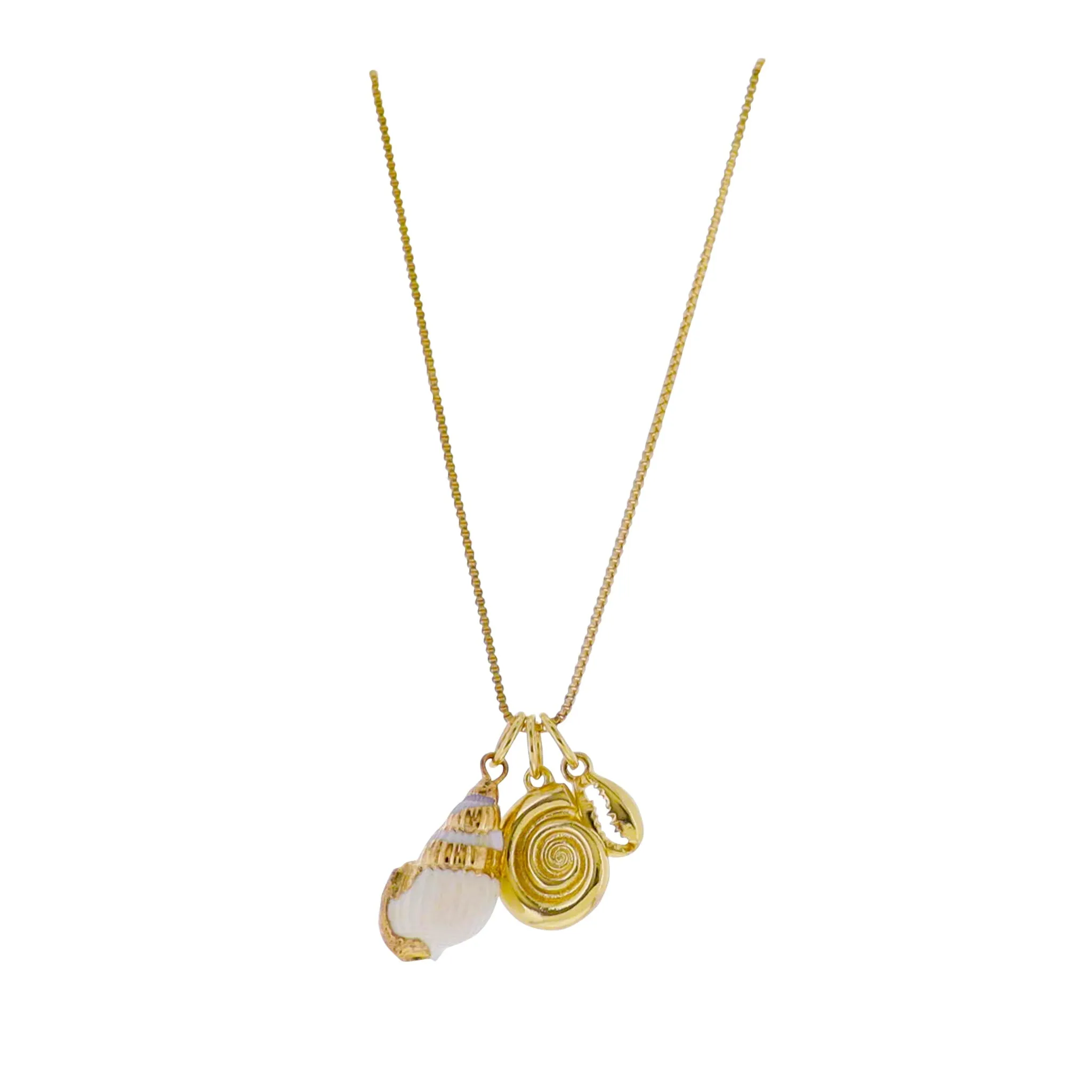 18k Gold Plated Box Chain Necklace with Shell, Conch, Shell sold by Charming Charlie