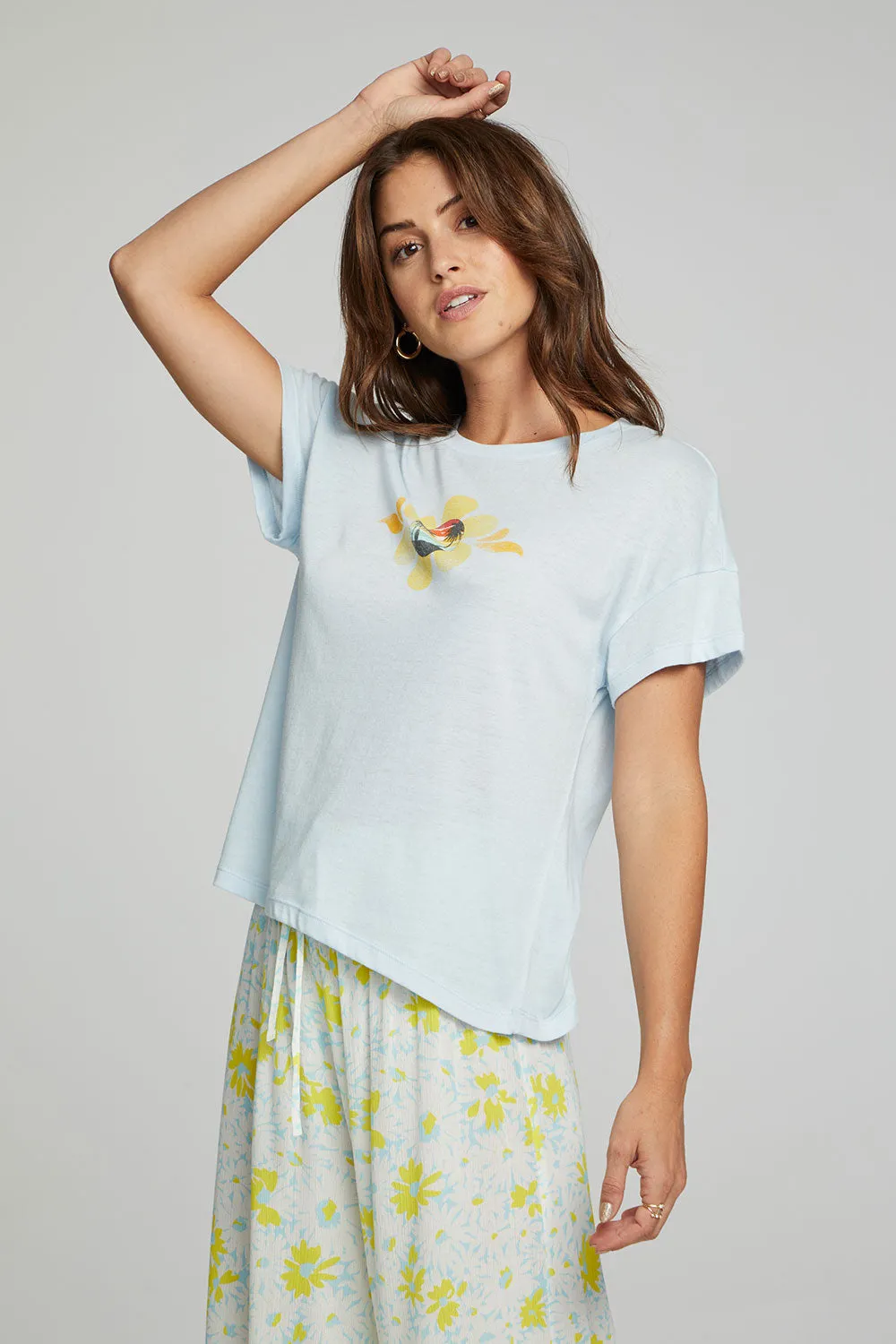 Sunset Daisy sold by Chaser product image thumbnail 2