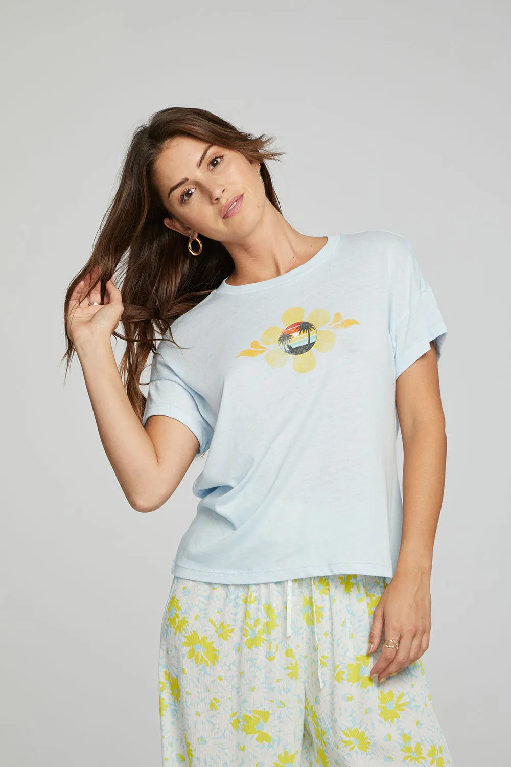 Sunset Daisy sold by Chaser product image thumbnail 3