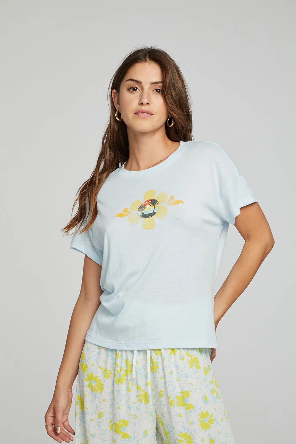 Sunset Daisy sold by Chaser