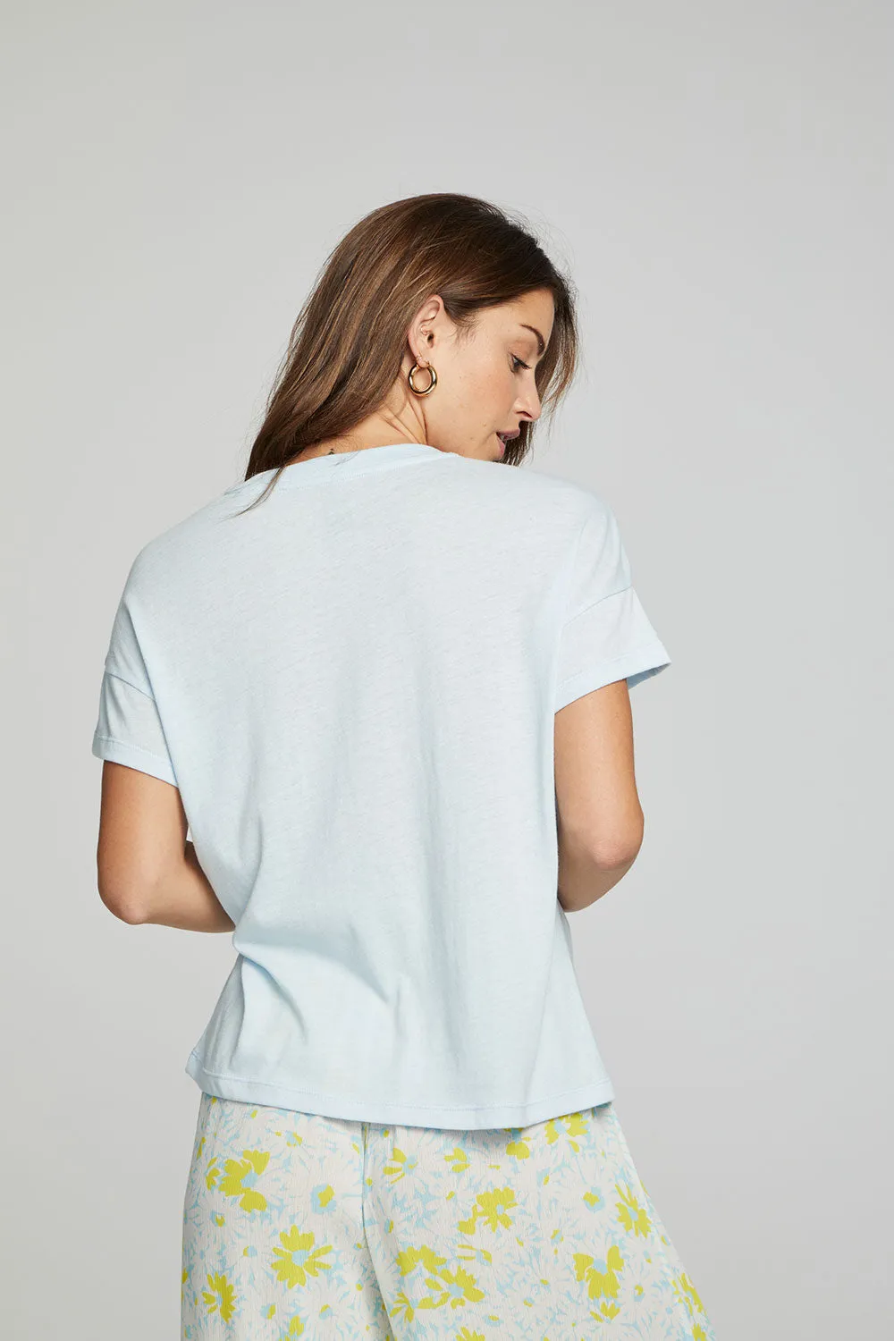 Sunset Daisy sold by Chaser product image thumbnail 4