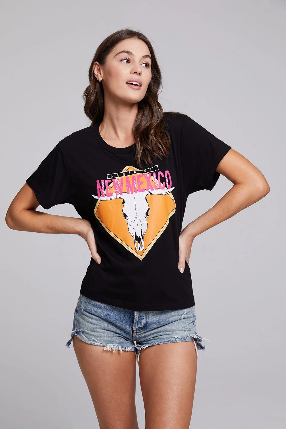 Santa Fe Crew Neck Tee sold by Chaser product image thumbnail 4