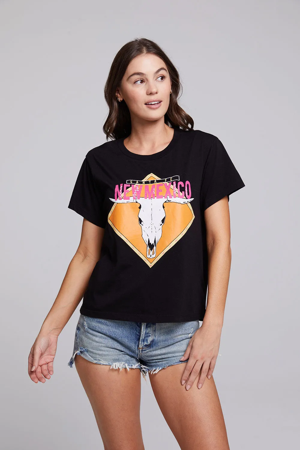 Santa Fe Crew Neck Tee sold by Chaser