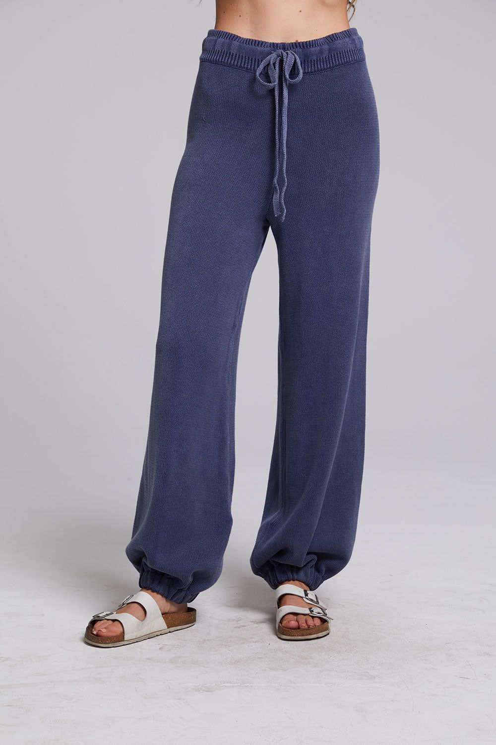 Hudson Washed Indigo Joggers sold by Chaser product image thumbnail 3