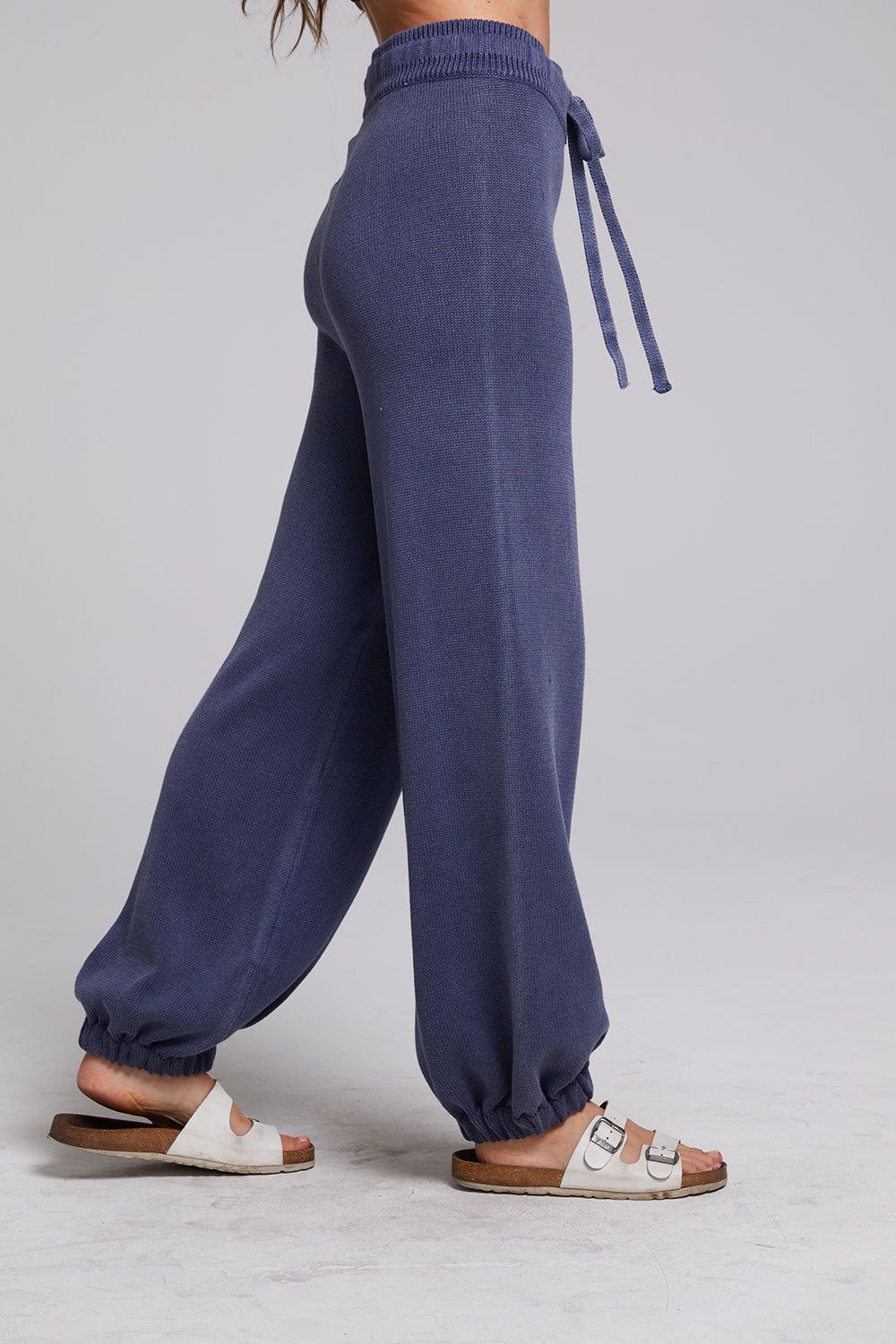 Hudson Washed Indigo Joggers sold by Chaser product image thumbnail 9