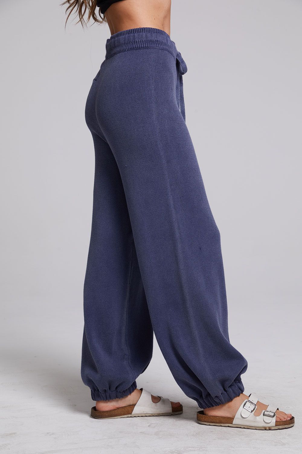Hudson Washed Indigo Joggers sold by Chaser product image thumbnail 6