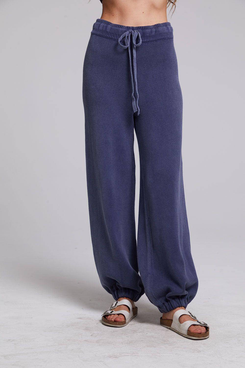 Hudson Washed Indigo Joggers sold by Chaser product image thumbnail 5