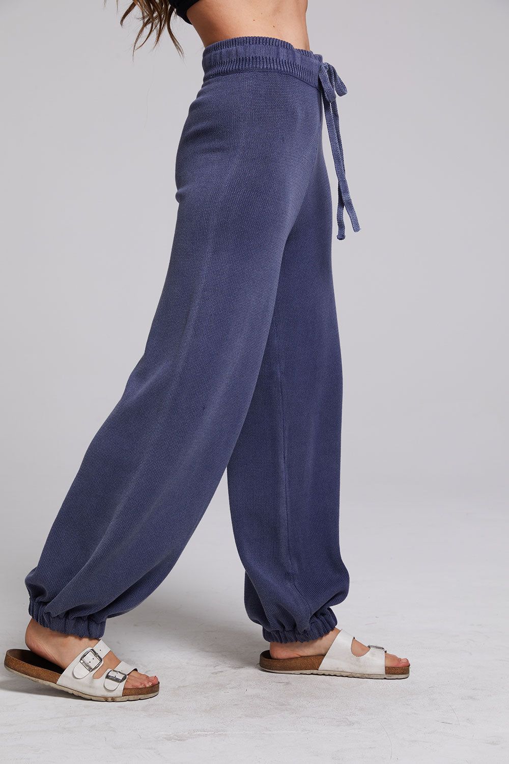 Hudson Washed Indigo Joggers sold by Chaser product image thumbnail 2