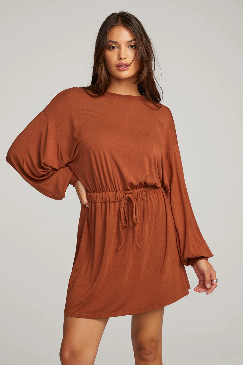 Saddle Whiskey Mini Dress sold by Chaser product image thumbnail 4